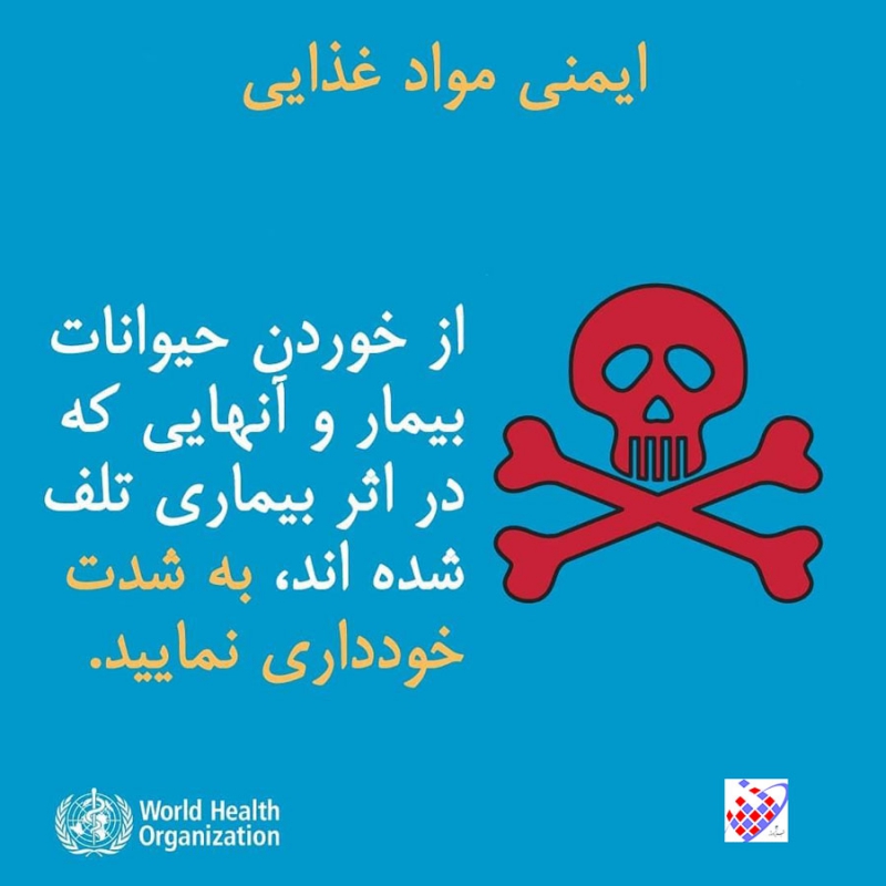 دستورالمل 6 سازمان بهداشت جهانی مقابله با ویروس کرونا